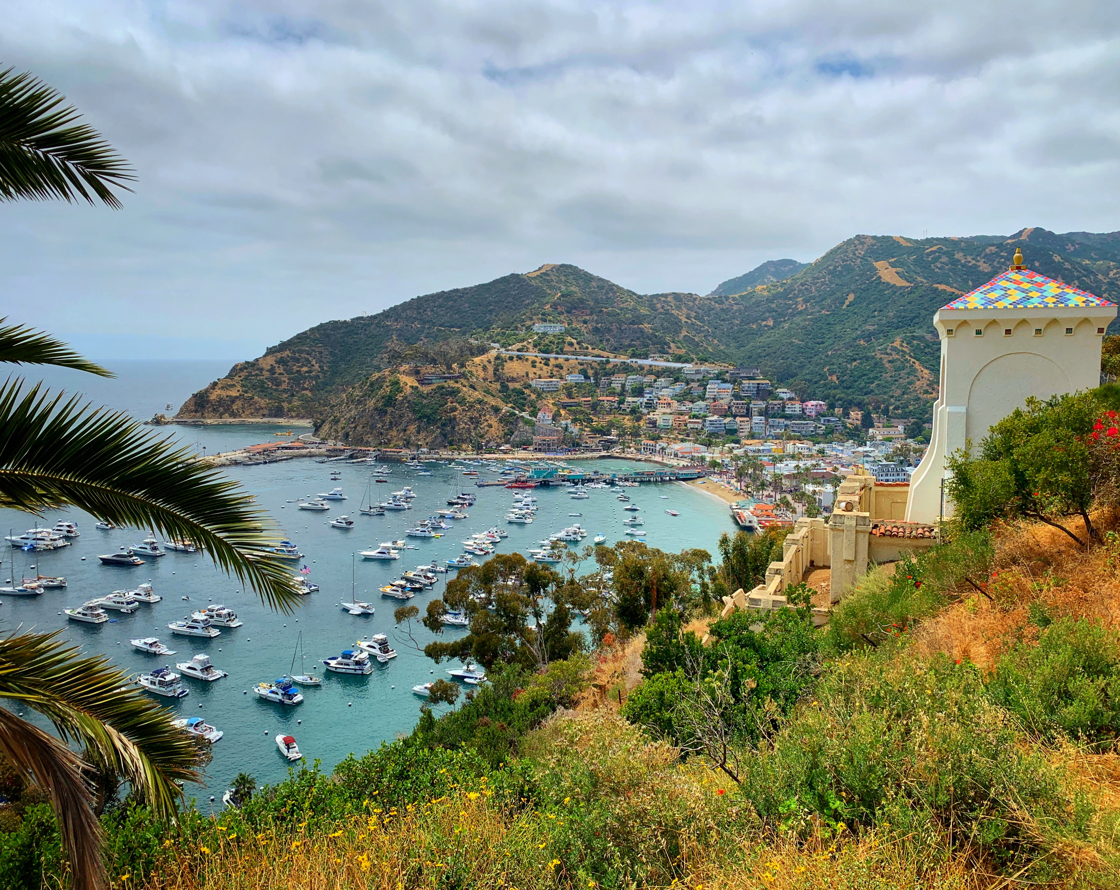 Avalon Harbor from the Chimes Tower